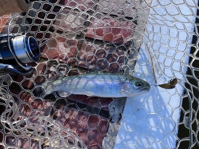 本日特価】 【絶版・稀少・初版】早川 釣生 多摩川水系の釣り場 趣味