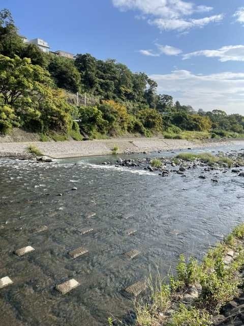 国府津海岸で釣れたシロサバフグの釣り・釣果情報 - アングラーズ