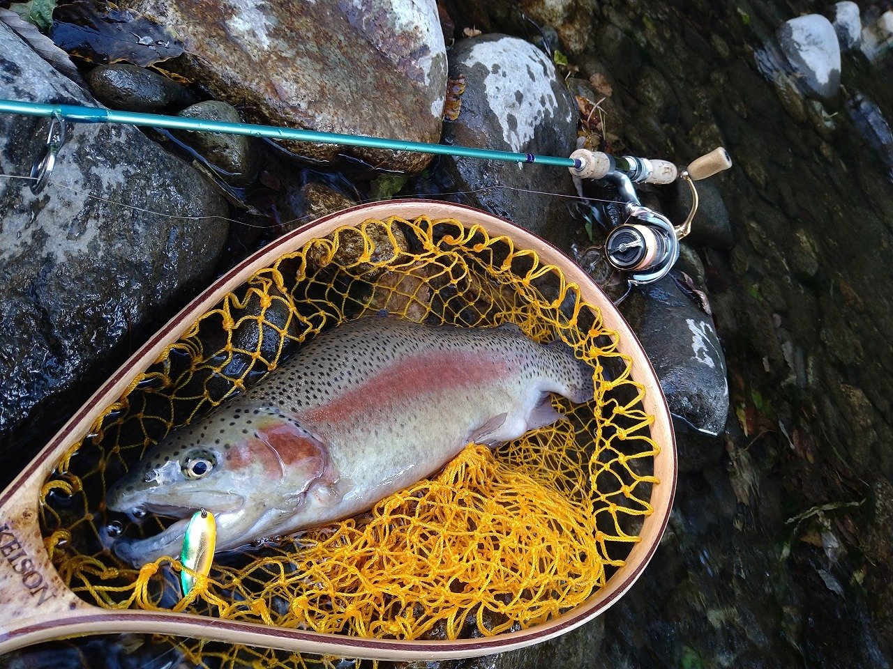 釣あら～:アルフレッドと丸湖