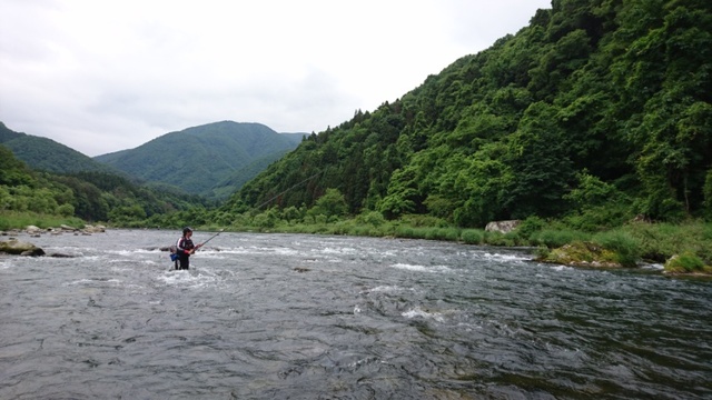 ▼希少 福島県の渓流 釣り場 会津編 東京起点・日帰り1泊で楽しめる 東北⑦a Amazon.co.jp: 福島県の渓流 会津編: 東京起点日帰り1泊で