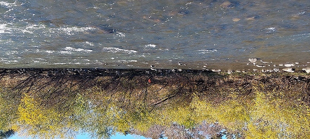 オレンジの目印下流の瀬脇でピンポイント狙いで釣れました。自分には流心での反応なかったです。写真上流にチャラ背があり渡河できます。そしてエサ釣りならここでクロカワムシ獲れます。