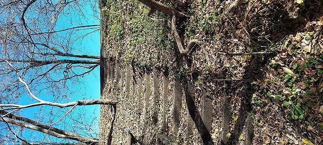 駐車スペースからは所々このような階段があるので、下って川へ行けます。