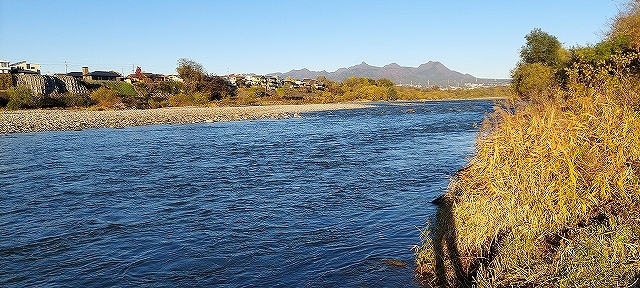 管理棟前から上流川を望む。手前も有望ポイント、対岸も有望ポイント、上流に見える瀬は個人的に大好きなポイント。