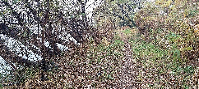 管理棟からも川沿いにこのような道で上流や下流のポイントへ行けます。対岸に渡らなくても釣りにはウェダーがないと厳しいです。