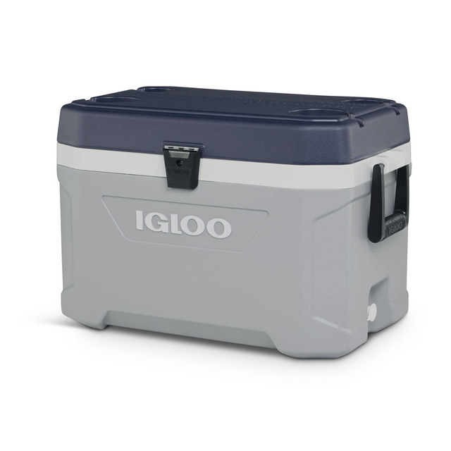 最低価格の igloo正規販売店 igloo イグルー マックスコールドラテ