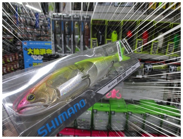 岩上に立つ スノードロップ 5.11a】榛名・黒岩 166㎝ クライミング climbing