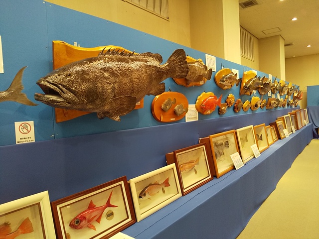 ヤマメ　剥製 hakusei1321.jpg