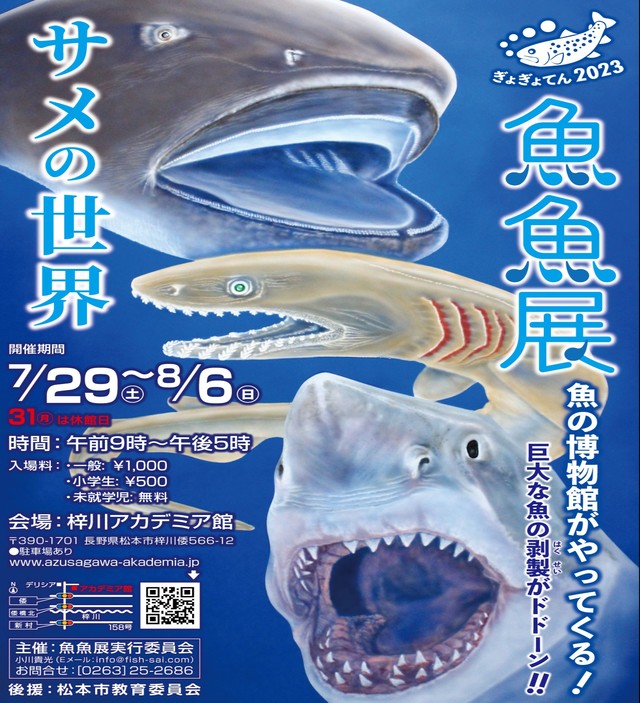 まふゆ　ヤマメ剥製 額縁入り まふゆ ヤマメ剥製 額縁入り 2025年最新】ヤマメ 剥製の人気