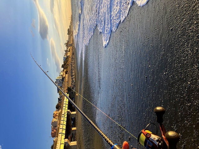 アジング まとめ売り 夏が来た！ハゼクラと豆アジング - FF日誌