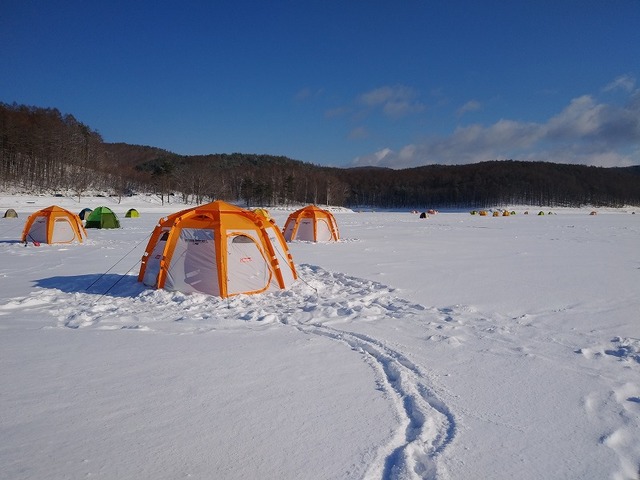 岩洞湖NEW「深場スタンダード」 - 釣り東北WEB