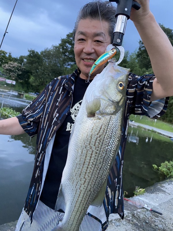 私もラプルクルーズトゥヘブンでスィースィーアクションでヒット♪