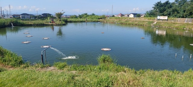 上州屋スタッフで釣行会(^^)ブリゲードポンドさんで楽しんできました！