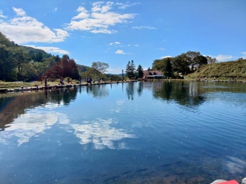 朝は冷え込みましたがこの青空♪秋晴れのいい日になりました!(^^)!