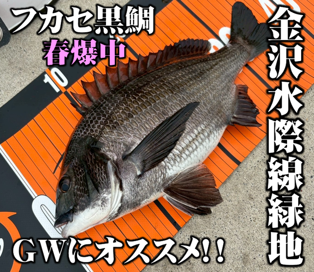 つり具の上州屋 - あなたのフィッシング＆アウトドアライフを