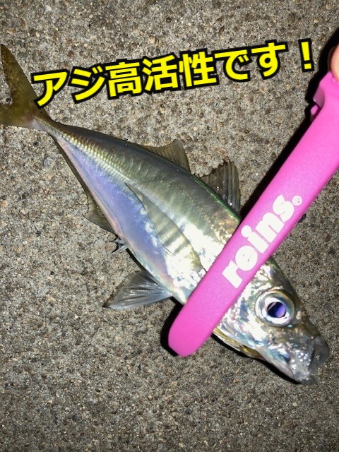 つり具の上州屋 - あなたのフィッシング＆アウトドアライフを