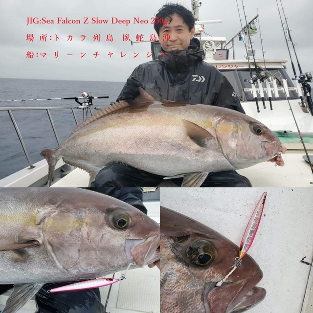 希少稀な つり具の上州屋 あなたのフィッシング＆アウトドアライフを - 魚介類(加工食品)