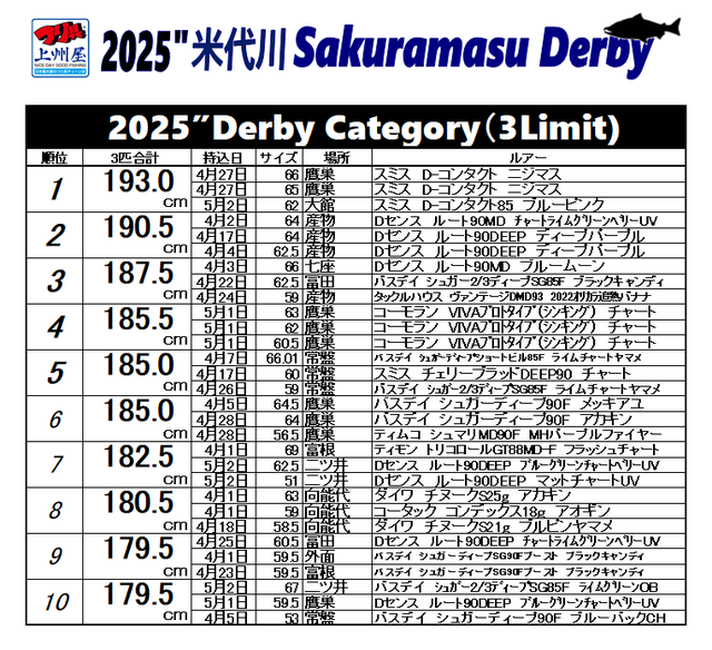 ３０ アイシースクリーン展 北九州版 フライヤー シルク印刷、リボードのグランド印刷