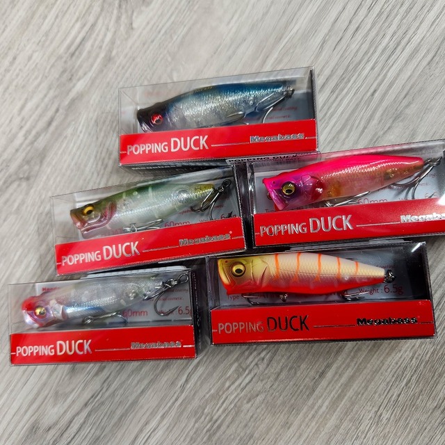 釣りキャン、サーフィン、キャンピングセット 釣りキャン、サーフィン、キャンピングセット