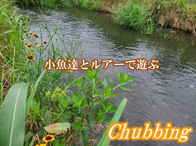 リバーブリーズ　#3.4 オイカワ　　渓流 リバーブリーズ #3.4 オイカワ 渓流 リバーブリーズ #3.4