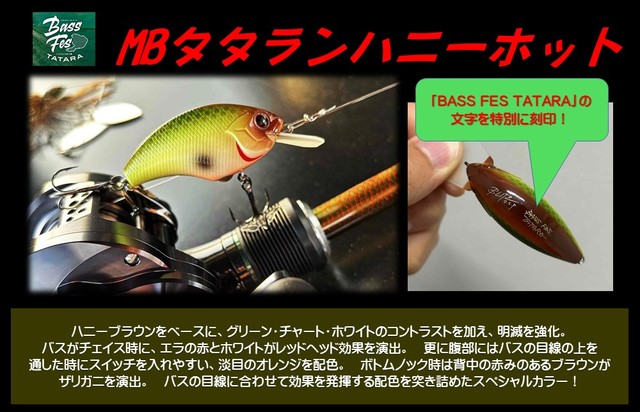【釣りフェス限定】 アイザー fimoオリカラ グレアダラ 釣りフェス限定】 アイザー fimoオリカラ グレアダラ fimo Staff