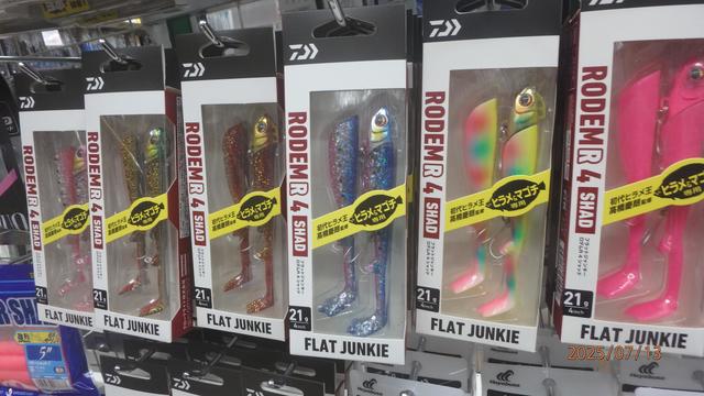 セオレム　15ポンド　プラグ無し ゼブラ K-0.5替芯 黒 BRS-6A-K-BK 1箱（10本入） - アスクル