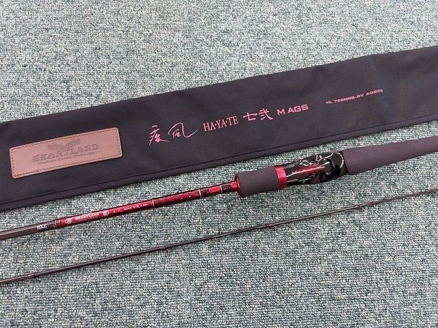 ⭐超極上美品⭐Daiwa ProCasterPMA-35SL Amazon.com : Daiwa SALTIGA 35 Jigging Bait Reel : Sports