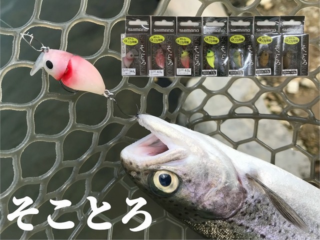 ウッサS デスメロン　キャンベル春日部オリカラ　まとめ売り ウッサS デスメロン キャンベル春日部オリカラ まとめ売り