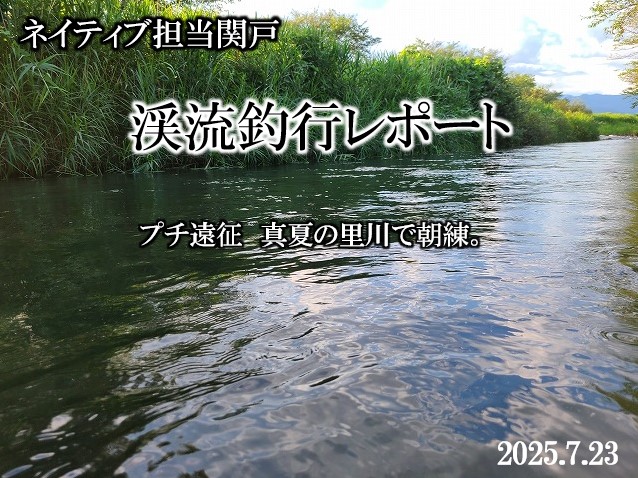 剛毅ヒラマサ　HM220 剛毅ヒラマサ HM220