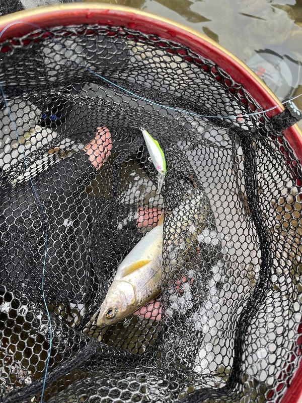 劉　一鵬作　渓流の調べ 劉 一鵬作 渓流の調べ