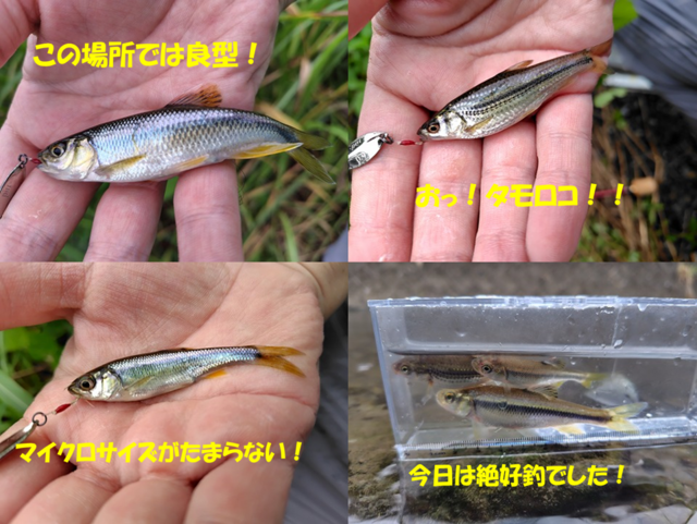 つり具の上州屋 - あなたのフィッシング＆アウトドアライフを