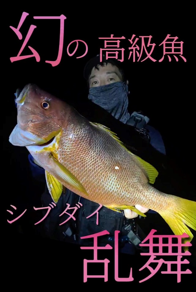３３歳からの週末のアングラー 青空のむこう | アレックス・シアラー, Alex Shearer, 金原瑞人