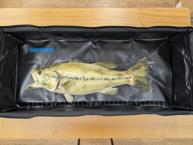 おごぺん200F ザクトクラフト オゴペン200F STD・限定ラメカラー