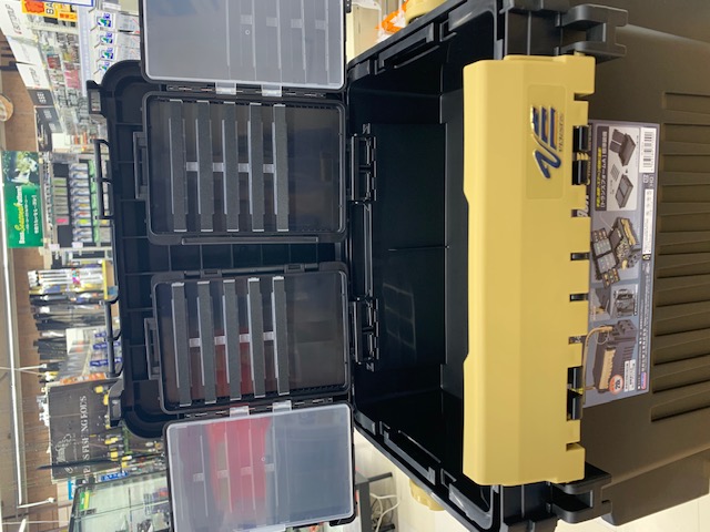 青物プラグセット トップ Amazon | UFO PLAST(ユーフォープラスト) バイク 外装セット