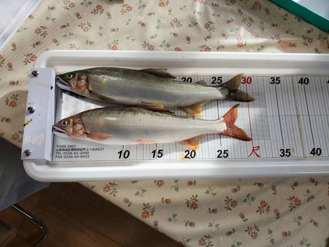 つり具の上州屋 - あなたのフィッシング＆アウトドアライフをサポート