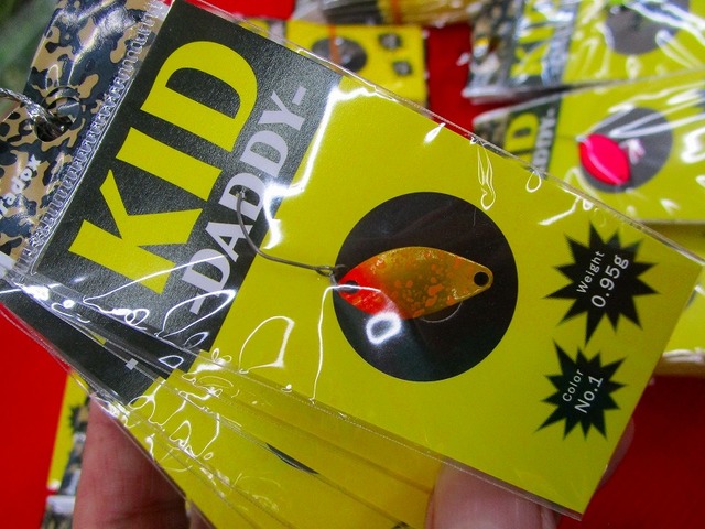 WESTNOWースパー海船-300-PG 10/17(火) 2,600総トン型貨物フェリーが竣工しました。 – SAIKI