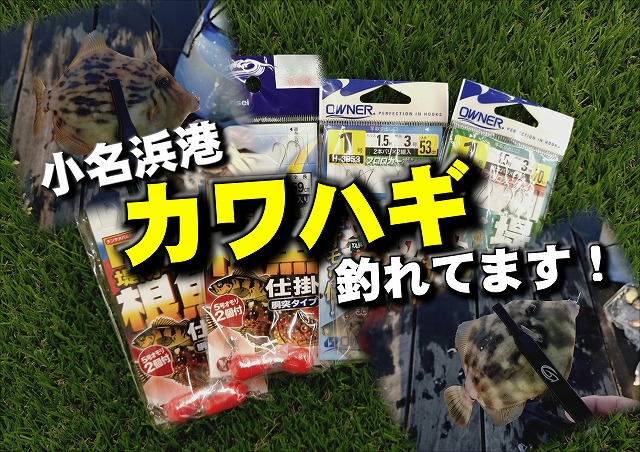 K-ZAN マスターピースMAX 2本 K-ZAN マスターピースMAX 2本 おすすめ商品 [K-ZAN Web Shop]