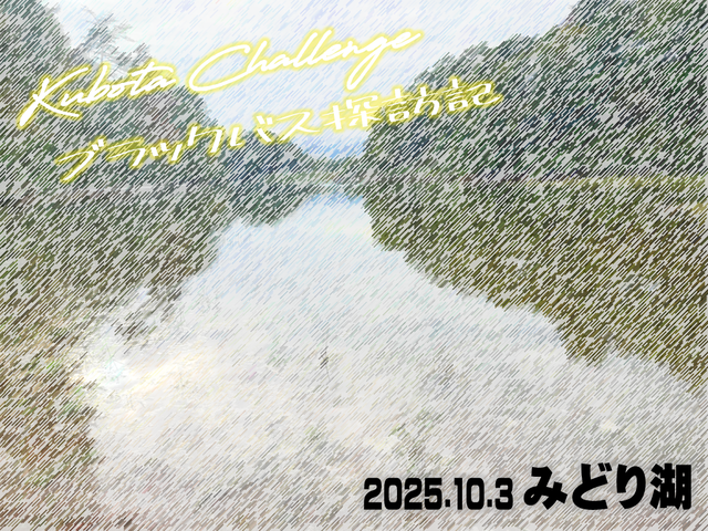 神农47 4729033 ZX230 Excavator Swing Drive Assy Hitachi spare parts