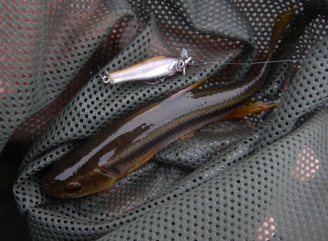 つり具の上州屋 - あなたのフィッシング＆アウトドアライフを