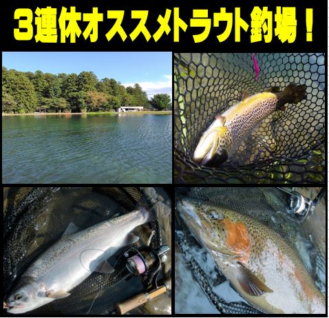 希少 オリエント WaterResist50m UUOO-CO CS 裏スケ ERENIO-SKT（NAVY）：イタリアで生まれた、ラグジュアリ