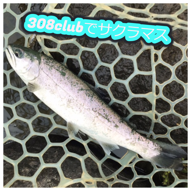 ３３歳からの週末のアングラー つり具の上州屋 - あなたのフィッシング＆アウトドアライフを