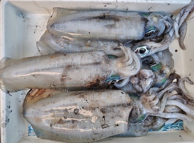 つり具の上州屋 - あなたのフィッシング＆アウトドアライフを