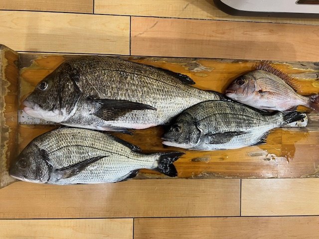 シーマ　ジャジャマル90Sセット compass1708134582.jpg?fitin=