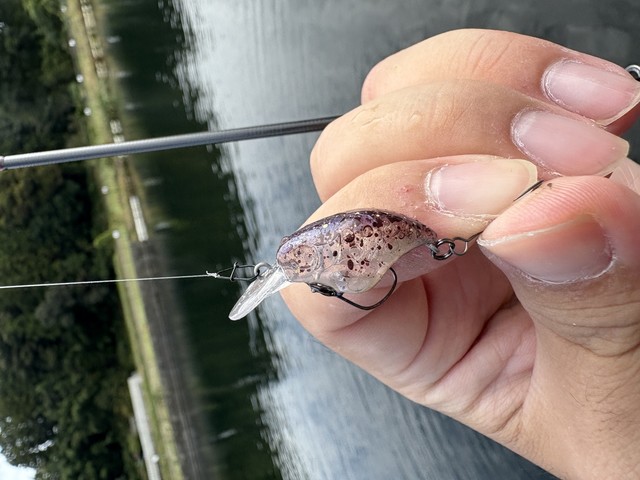 YAMANE FLOTANTE フロータンテ Yahoo!オークション - 稀少 道楽 ヤマネ YAMANE FLOTANTE フロータン