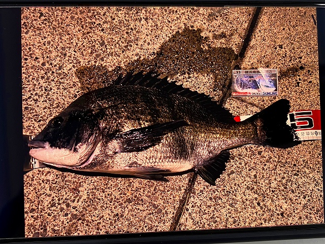 d411102ヒラメ 3.4袋白 津軽 75%OFF】白タキシード福袋 タキシード 燕尾服 衣装 ホワイト 4点セット