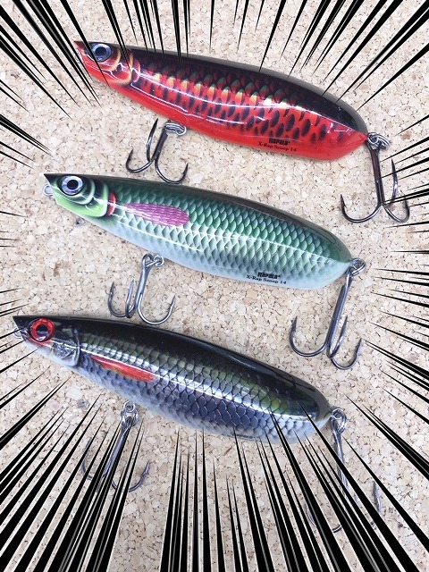 【Rapala】ラパラ ベイエリア セレクション シーバス つり具の上州屋 - あなたのフィッシング＆アウトドアライフをサポート