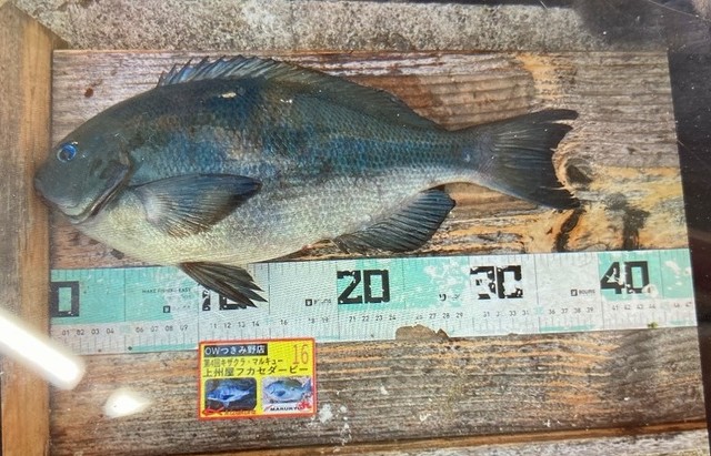 つり具の上州屋 - あなたのフィッシング＆アウトドアライフをサポート