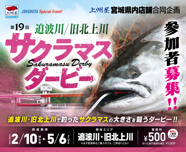 2025サクラマス解禁情報〕今年も胸躍る季節到来！サクラマスのこと