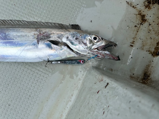 超激レアカラー　ライジングシューサン　ライジングシュータン　Ｋ-TEN カゲロウ 超激レアカラーライジングシューサンライジングシュータンK-TEN カゲロウ