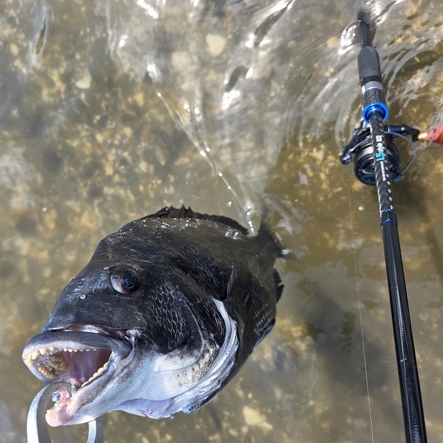 つり具の上州屋 - あなたのフィッシング＆アウトドアライフをサポート