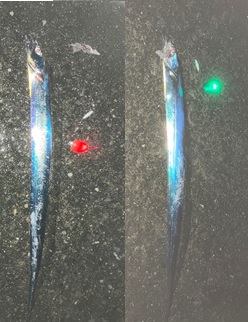 つり具の上州屋 - あなたのフィッシング＆アウトドアライフをサポート